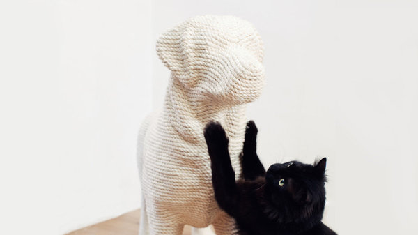 Griffoir insolite en corde créé par Erik Stehmann, DOG est la nouvelle cible des jeunes chats fous qui s’attaquent aux meubles. 649 € sur le site de la marque.