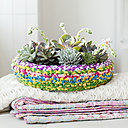 L’echeveria est une plante grasse originaire du Mexique. On en trouve notamment aux îles Canaries.