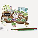 Le potager d'été et d'automne.