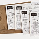 Voici comment se présente le coffret,  4 planches à colorier et le carton brun imitant la terre .
