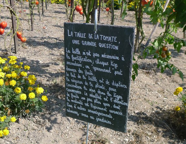 Quelques conseils de taille, bienvenus dans les parterres.