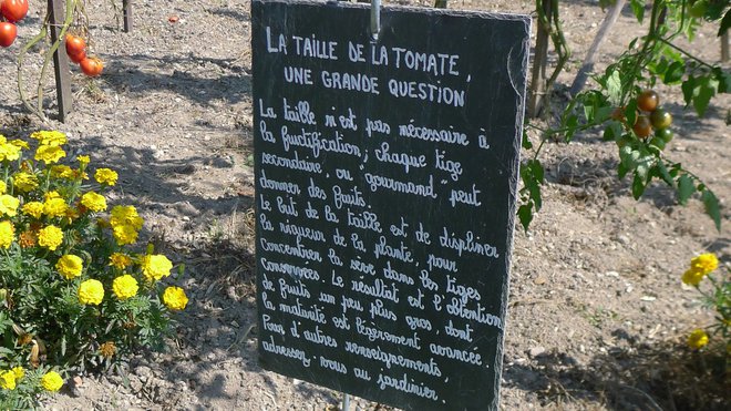 Quelques conseils de taille, bienvenus dans les parterres. Quelques conseils de taille, bienvenus dans les parterres.