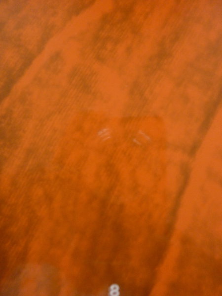 La couleur orange nous parle de la vie, de la procréation, du mouvement et des émotions.