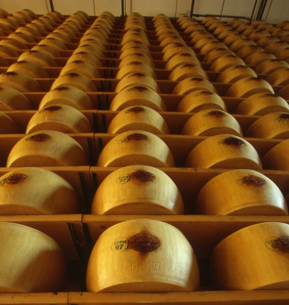 Les travées de meules de parmesan en cours d’affinage.