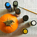 Pour peindre une citrouille, il vous faudra, une mini citrouille, des peintures acryliques et un pinceau.