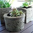 Les cactées s'invitent dans des pots en béton réalisés en suivant bien les indications de la créatrice de Shade of Green.