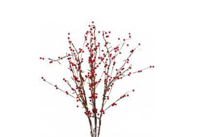 Disposé dans un vase, ce grand bouquet de baies rouges lumineuses illuminera le salon d'une lumière chaude et joyeuse. H 100 cm. Les 3 branches de 20 leds, 29,90 €. Nature & Découvertes.