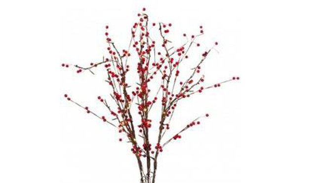 Disposé dans un vase, ce grand bouquet de baies rouges lumineuses illuminera le salon d'une lumière chaude et joyeuse. H 100 cm. Les 3 branches de 20 leds, 29,90 €. Nature & Découvertes.