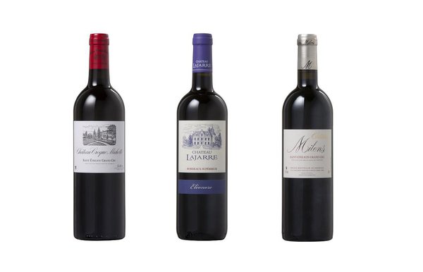 Saint Emilion, Pomerol, Pessac Léognan, Fronsac, Lalande de Pomerol, côtes de Bordeaux, Bordeaux supérieur.... 17 vignerons proposaient à la dégustation leurs vins.