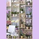 Le Phalaenopsis, ou orchidée papillon, se décline en une multitude de couleurs, toutes plus charmantes les unes que les autres. Ainsi, vous pouvez donner du peps à votre intérieur et ajouter la touche de couleur qui vous ressemble : du blanc au violet, en passant par du rose, du saumon, ou du jaune et jusqu’au bleu, obtenu par coloration.