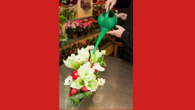 Etape 5 : Et, pour bien hydrater les différents végétaux, ajoutez un peu d’eau dans le contenant. Etape 5 : Et, pour bien hydrater les différents végétaux, ajoutez un peu d’eau dans le contenant.