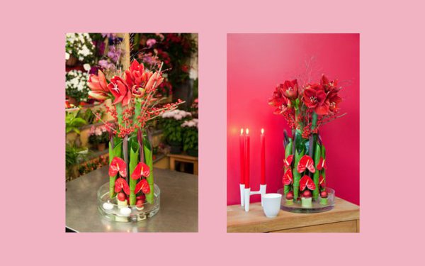 Résultat : et voilà, vous venez de créer une jolie composition florale, aux couleurs de Noël ! Une fois disposée sur votre table de fêtes, mise en valeur dans votre salon ou votre salle à manger, cette élégante composition florale ajoutera une touche de couleur à votre déco de fêtes. Et pour qu’elle dure plus longtemps, placez-la dans un espace lumineux, non exposé aux rayons du soleil et aux courants d'air. Et veillez à l’humidifier tous les deux jours.