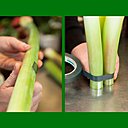 Etape 3 : Pour créer la structure de la composition, utilisez les tiges d'amaryllis : gainez-les à leur base avec du ruban adhésif transparent. Ainsi, une fois posées verticalement, les tiges ne se fendront pas. Réalisez une coupe droite de la tige au sécateur, au niveau qui vous convient, toujours selon la hauteur de votre composition. Pour terminer cette étape, liez les tiges d’amaryllis entre elles, à l’aide d’un peu de ruban adhésif.