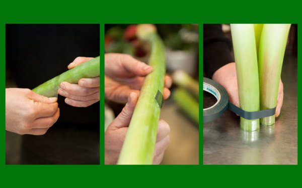 Etape 3 : Pour créer la structure de la composition, utilisez les tiges d'amaryllis : gainez-les à leur base avec du ruban adhésif transparent. Ainsi, une fois posées verticalement, les tiges ne se fendront pas. Réalisez une coupe droite de la tige au sécateur, au niveau qui vous convient, toujours selon la hauteur de votre composition. Pour terminer cette étape, liez les tiges d’amaryllis entre elles, à l’aide d’un peu de ruban adhésif.