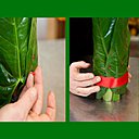 Etape 4 : Maintenant que vous avez créé la structure, insérez les feuilles d'anthurium dans le lien en partie basse. Et utilisez des épingles pour les maintenir verticalement. Pour ce faire, privilégiez des épingles décoratives, de couleur rouge, pour rester dans le thème, par exemple. Petite astuce : vous pouvez consolider le tout, avec un ruban de satin qui masquera, si besoin, le ruban adhésif, peu décoratif.