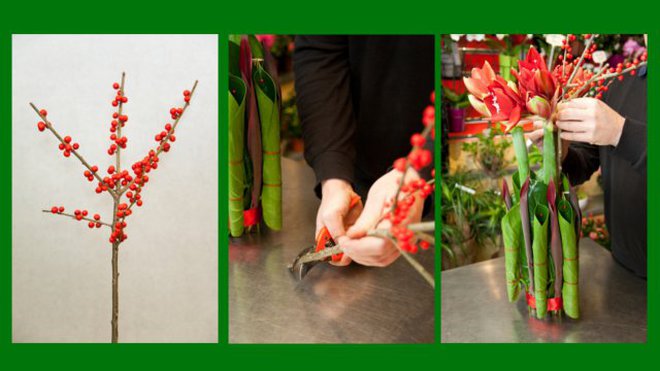 Etape 6 : Pour agrémenter la composition, coupez les branches de houx (ou d'ilex) au sécateur et insérez-les, esthétiquement, entre les tiges d’amaryllis et les feuilles roulées.