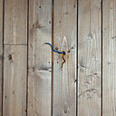 Avant : un mur ou l’arrivée électrique (fil de phase : marron, fil de neutre : bleu) est en attente d’un luminaire.