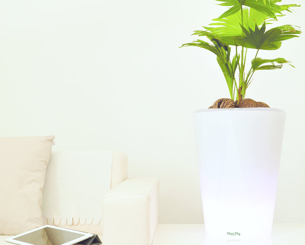 Le pot connecté permet de partir tranquille et de croire un temps qu’on a la main verte en remplissant la réserve d’eau pour activer l’arrosage intuitif et régulier jusqu’à 4 semaines.