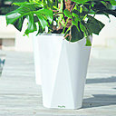 Meg est la quintessence entre amour du design et l’amour des plantes, avec une pointe de domotique !