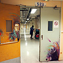 Erwin Schrödinger et son chat Ou comment le chat de C215 devient chat de Schrödinger… Erwin Schrödinger, physicien et théoricien scientifique autrichien du 20ème siècle, a permis le développement du formalisme.