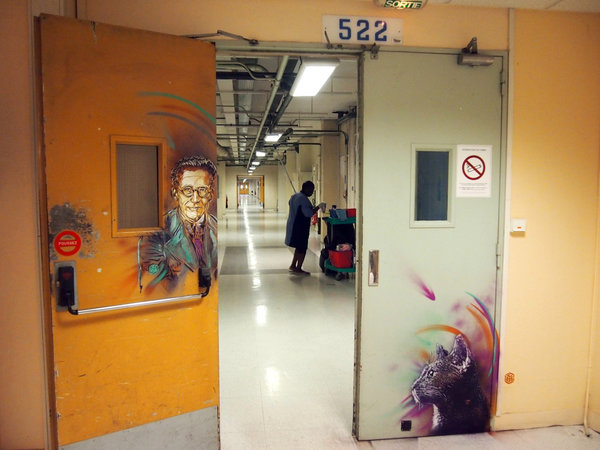 Erwin Schrödinger et son chat Ou comment le chat de C215 devient chat de Schrödinger… Erwin Schrödinger, physicien et théoricien scientifique autrichien du 20ème siècle, a permis le développement du formalisme.