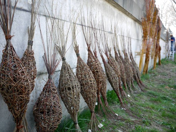 Les nids viennent d'être tressés et sont rassemblés en attente d'être installés.