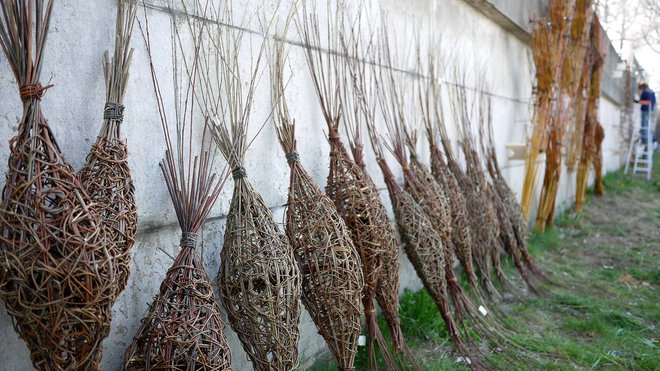 Les nids viennent d'être tressés et sont rassemblés en attente d'être installés.