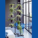 Idée de suspension de lierre pour apporter une touche végétale à votre intérieur !