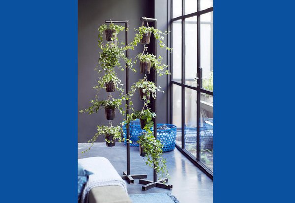 Idée de suspension de lierre pour apporter une touche végétale à votre intérieur !