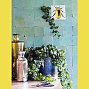 Le lierre comme décoration murale pour un côté « nature » irrésistible.