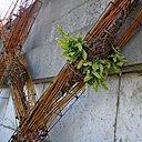 Installation des nids sur la structure modulaire de Sensomoto.