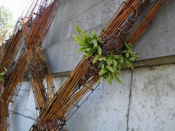 Installation des nids sur la structure modulaire de Sensomoto.