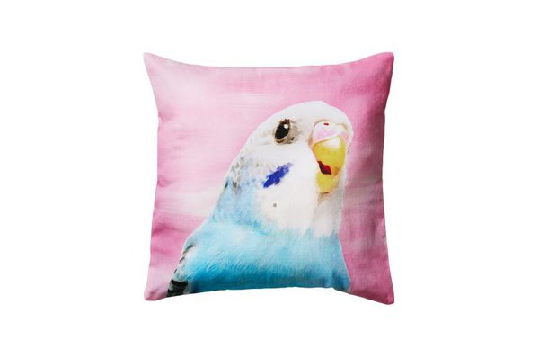 Un coussin oiseau à petit prix. En coton. 40 x 40 cm 7,95 €. H&M Home.