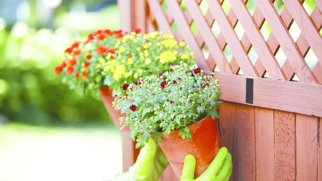 Auto-agrippant extrême pour accrocher un pot de fleur sur une cloison.