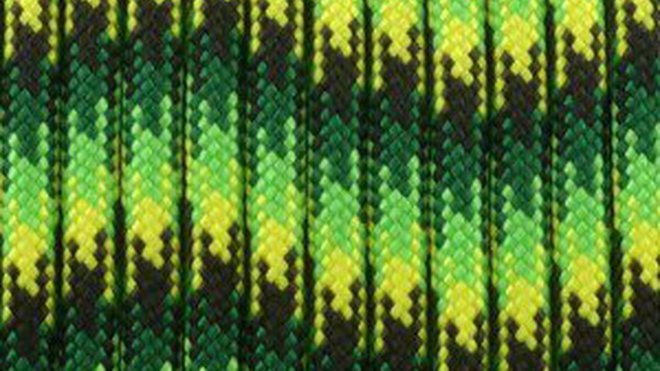 Ref . paracord-550-gecko