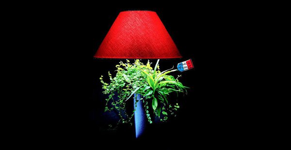 Variante originale de la Lumipouss’. Les abat-jour sont l’allié incontournable pour une décoration à votre image.