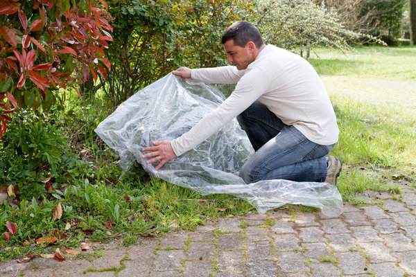 Étape 3 : Par prudence, protéger les plantations en cas de risque de projection du traitement.