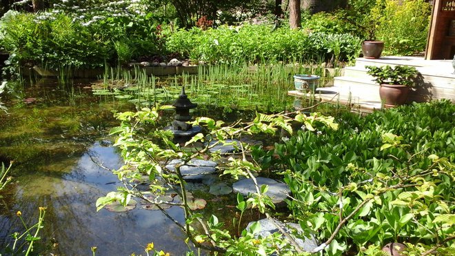 La grenouillère - jardin aquatique de Madame Lacaze aux Essarts-le-Roi.