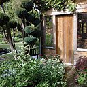 A la Grenouillère, même les Ifs sont taillés comme des bonsaïs grâce au doigté de Madame Lacaze.