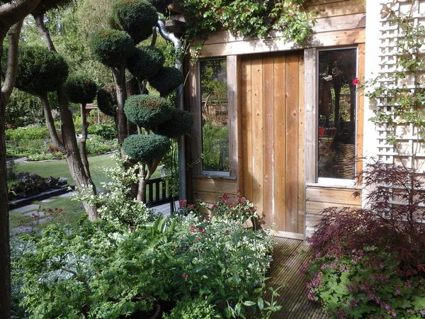 A la Grenouillère, même les Ifs sont taillés comme des bonsaïs grâce au doigté de Madame Lacaze.