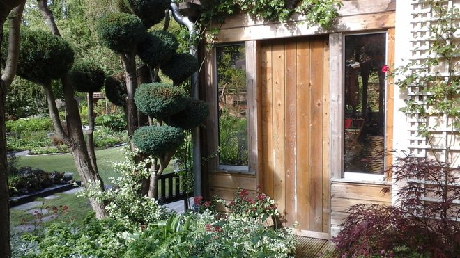 A la Grenouillère, même les Ifs sont taillés comme des bonsaïs grâce au doigté de Madame Lacaze.