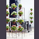 Étagères de primevères pour une idée déco simple et à la fois originale. Variez les couleurs de primevère pour plus de gaieté.