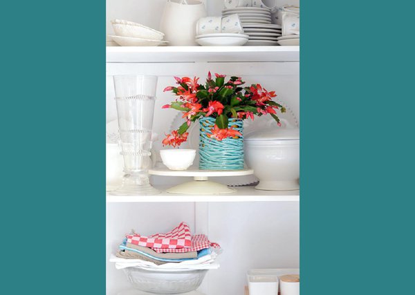 La schlumbergera permet de décorer des endroits impensables en manque de couleur ! Cela donne un air un peu sauvage, car les fleurs vivent au gré de leurs envies !