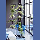 Idée déco de lierre en pot : gagner de l’espace et jouer sur les hauteurs en suspendant des pots de lierre. Côté sauvage et nature contrôlé !