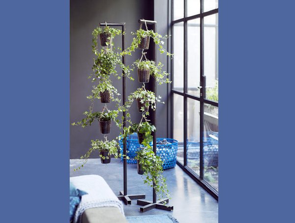 Idée déco de lierre en pot : gagner de l’espace et jouer sur les hauteurs en suspendant des pots de lierre. Côté sauvage et nature contrôlé !