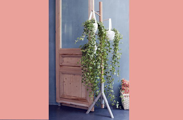 Le lierre en suspension permet aussi d’avoir un résultat magique lorsque les branches tombent naturellement. Adieu les tableaux et bibelots, le lierre prend le relais !