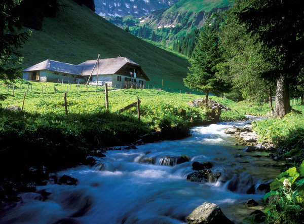 Les chalets d’alpage étaient à l’origine, le lieu de prédilection des vachers-fromagers, l’été. C’est là qu’ils s’occupaient de leur bétail, et confectionnaient leur fromage. De nos jours, les chalets d’alpage sont surtout devenus des lieux de vie à part entière.