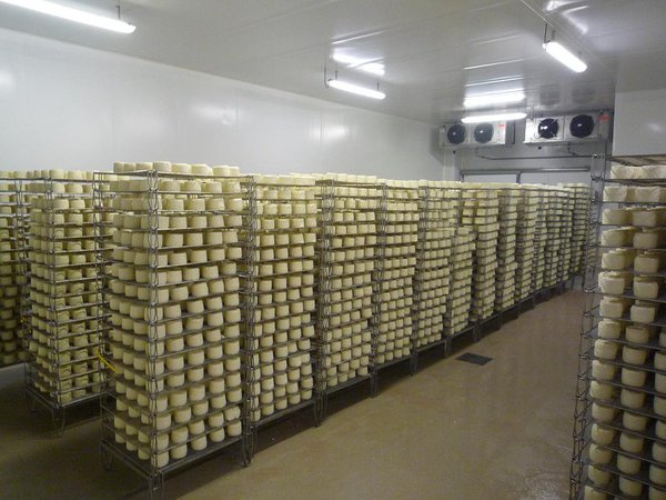 L’affinage du chaource au lait de vache dure environ 15 jours. Cette étape importante dans la fabrication du fromage, s’effectue à des températures comprises entre 8 °C et 14 °C.