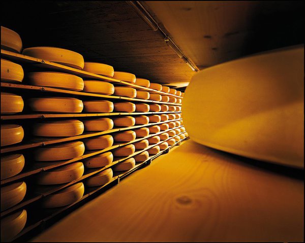 D’un diamètre de 80 à 100 centimètres et d’une hauteur de 16 à 27 centimètres, l’Emmentaler AOP suisse, surnommé Le Roi, est un fromage à pâte pressée cuite, recouvert d’une croûte ferme et naturelle pouvant aller de la couleur ivoire à jaune clair.