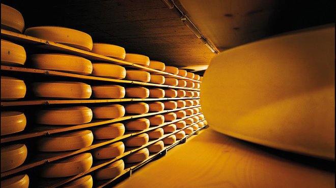 D’un diamètre de 80 à 100 centimètres et d’une hauteur de 16 à 27 centimètres, l’Emmentaler AOP suisse, surnommé Le Roi, est un fromage à pâte pressée cuite, recouvert d’une croûte ferme et naturelle pouvant aller de la couleur ivoire à jaune clair. D’un diamètre de 80 à 100 centimètres et d’une hauteur de 16 à 27 centimètres, l’Emmentaler AOP suisse, surnommé Le Roi, est un fromage à pâte pressée cuite, recouvert d’une croûte ferme et naturelle pouvant aller de la couleur ivoire à jaune clair.